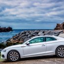 틴팅가이 이미지