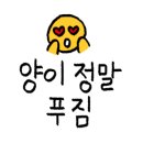 망상회센터&망상비치펜션 이미지