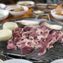 (주)가나안 - 7503 | (주)가나안