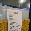 제주통도야지 이미지