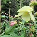 생목주유소 이미지