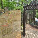 천마산10리길 이미지