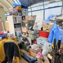 6/.27~29) 추가상추, 맷돌호박, 쪽파, 양배추 심음 이미지