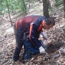 금산한국농장 이미지