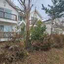 블루오션리조트홀리데이파크 | 몽산포 홀리데이파크 블루오션블루오션리조트에 다녀온 후기