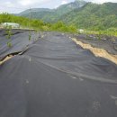 신형농장 이미지