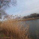 동림 행정사 이미지