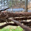 상상농장1 이미지