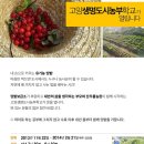 행복한 도시농부