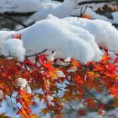 명월공원 이미지