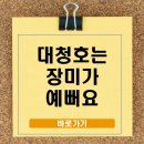 꿈돌이어린이공원 | 2025 대청호 장미전시회, 클래식·버스킹 공연과 체험이 어우러진 9일간의 장미축제