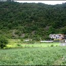 돌뫼농원 이미지