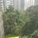 206 | 서울 포장이사 보관이사 추천 ‘영구크린 206호점’ 내돈내산 후기