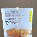 펫브릿지 김해점 이미지