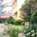 도일초등학교 이미지