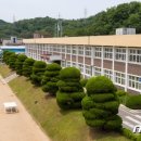 군산명화학교 이미지