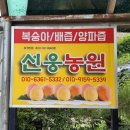 선웅농원 이미지