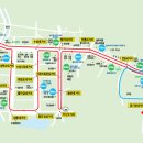 TBC방송국 건너 이미지