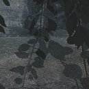 신발 업체 물류 당근 알바 후기(feat.5톤 화물차 3대)