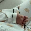 네일바이욤
