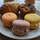 달보드레마카롱 이미지