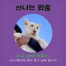 아담파크 | 아기 백사자 루카 루나 남매 만나기 대구 네이처파크 후기
