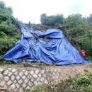 중부-현장-중부-2010 이미지