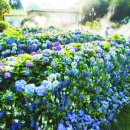 GRAND가든 이미지