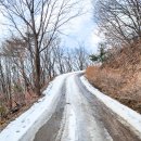 대룡산주유소 이미지