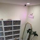 하단역 | 부산 사하구 왁싱 윤뷰티스튜디오 하단역 왁싱 후기