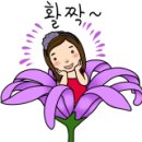 엘사다인