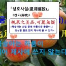 ◎ 복숭아 제사에 올릴 수 없다...올릴 수 있다.