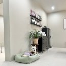 스테이 만천 이미지