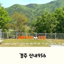 956 | 대구 근교 캠프닉, 경주 산내956 후기