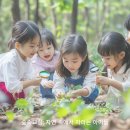 숲속예능어린이집 이미지