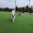 카페 리브어스 네이버블로그