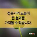 미르앤비즈 이미지