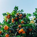 (주)앤티아이 이미지