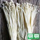 호산목장 이미지