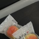 포항이야기 이미지