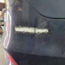 현대기아자동차전문점 이미지