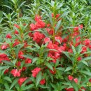 월항면복지회관 이미지