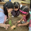 강서유치원 이미지