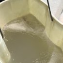 에코클린 침대소파카페트 울산본점 이미지