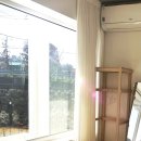 연화하가 이미지