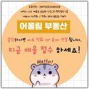 오동농장 이미지