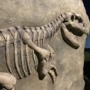 수색-003 이미지