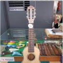 기타렐레(통기타) 이미지