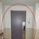 수영-301 이미지