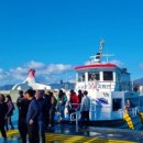 지세포해안로 이미지